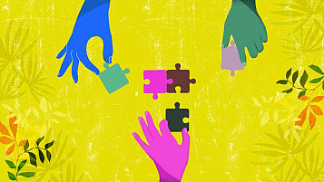 Ilustración: fondo verde vívido con plantas y 3 manos (azul, verde y rosa) que hacen un puzle