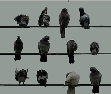 pájaros posados en tres cables con vista frontal